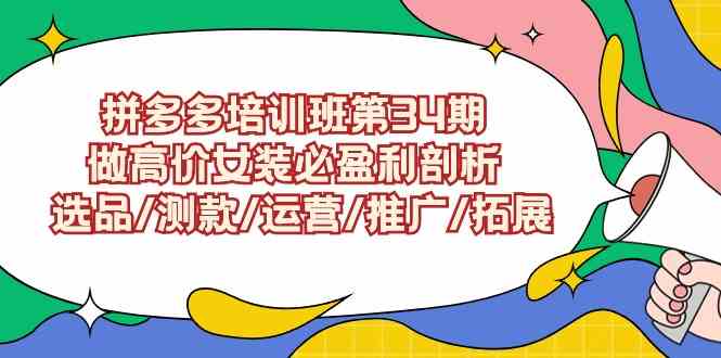 （9333期）拼多多培训班第34期：做高价女装必盈利剖析  选品/测款/运营/推广/拓展-专享资源网