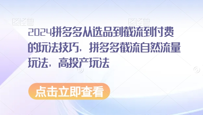 2024拼多多从选品到截流到付费的玩法技巧，拼多多截流自然流量玩法，高投产玩法-专享资源网