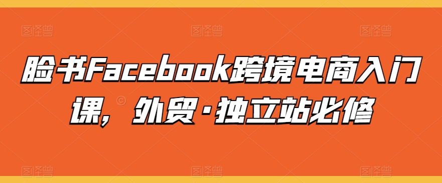 脸书Facebook跨境电商入门课，外贸·独立站必修-专享资源网