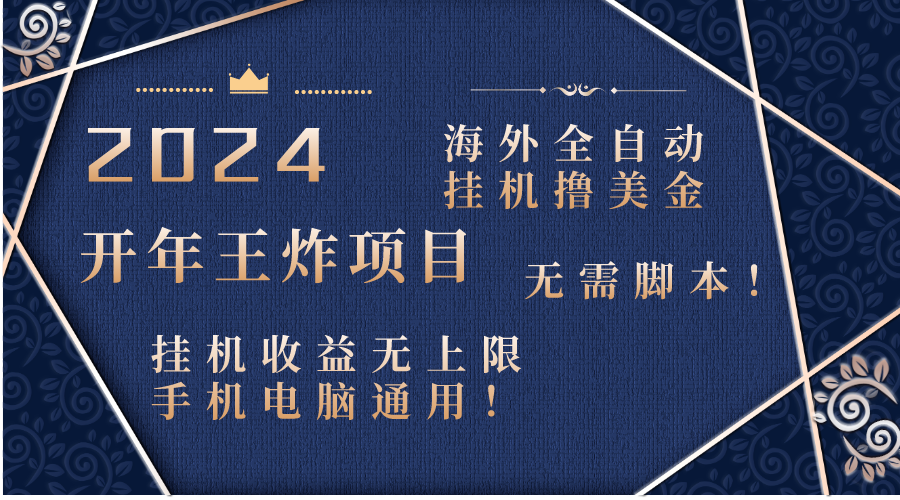 2024海外全自动挂机撸美金项目！手机电脑均可，无需脚本，收益无上限！-专享资源网