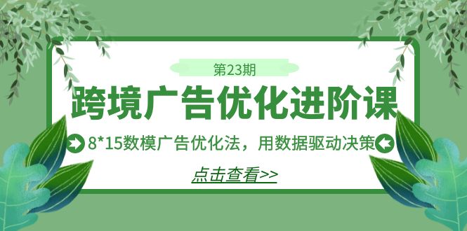 跨境广告·优化进阶课·第23期，8*15数模广告优化法，用数据驱动决策-专享资源网