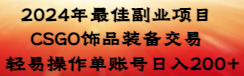 2024年最佳副业项目 CSGO饰品装备交易 轻易操作单账号日入200+-专享资源网