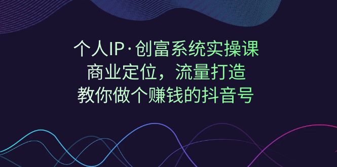 个人IP·创富系统实操课：商业定位，流量打造，教你做个赚钱的抖音号-专享资源网