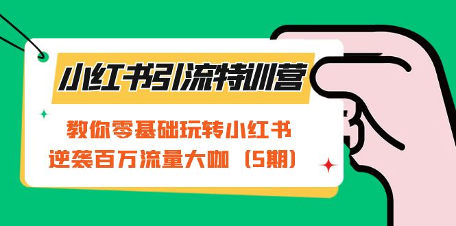 小红书引流特训营-第5期：教你零基础玩转小红书，逆袭百万流量大咖-专享资源网