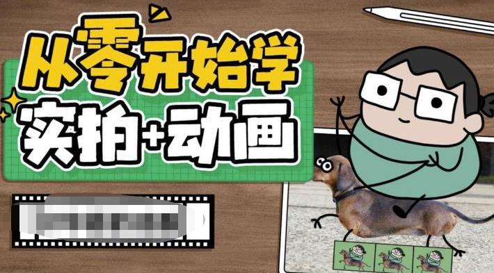 从零开始学实拍加动画，实拍加动画创意教程（49节视频课）-专享资源网