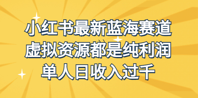 外面收费1980的小红书最新蓝海赛道，虚拟资源都是纯利润，单人日收入过千-专享资源网