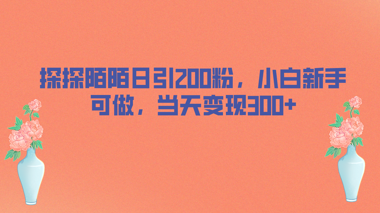 探探陌陌日引200粉，小白新手可做，当天就能变现300+-专享资源网