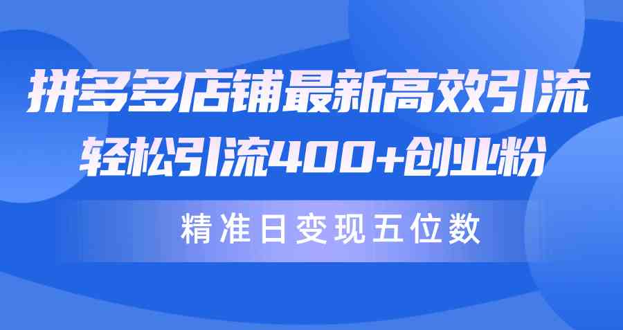 （10041期）拼多多店铺最新高效引流术，轻松引流400+创业粉，精准日变现五位数！-专享资源网