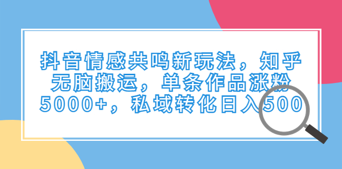 抖音情感共鸣新玩法，知乎无脑搬运，单条作品涨粉5000+，私域转化日入500-专享资源网