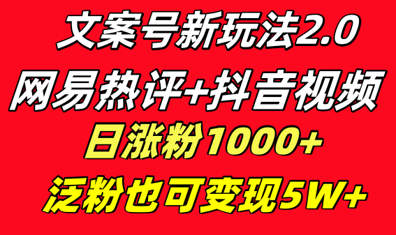 文案号新玩法 网易热评+抖音文案 一天涨粉1000+ 多种变现模式 泛粉也可变现-专享资源网