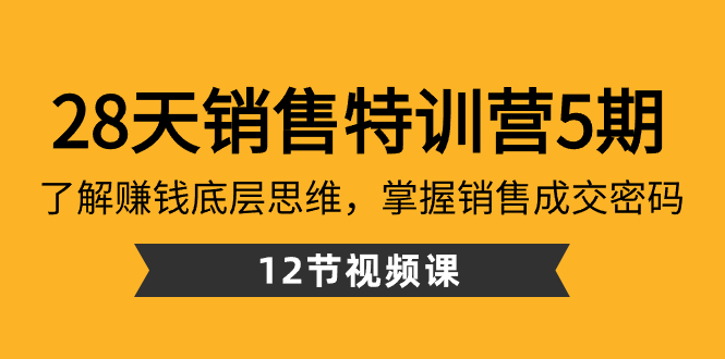 28天·销售特训营5期：了解赚钱底层思维，掌握销售成交密码（12节课）-专享资源网