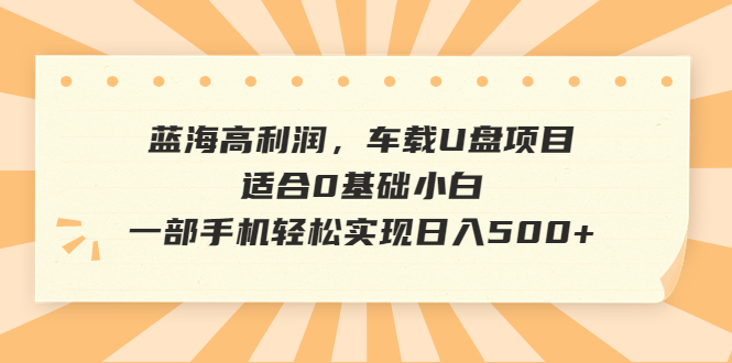 蓝海高利润，车载U盘项目，适合0基础小白，一部手机轻松实现日入500+-专享资源网