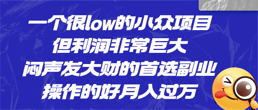 一个很low的小众项目，但利润非常巨大，闷声发大财的首选副业，月入过万-专享资源网