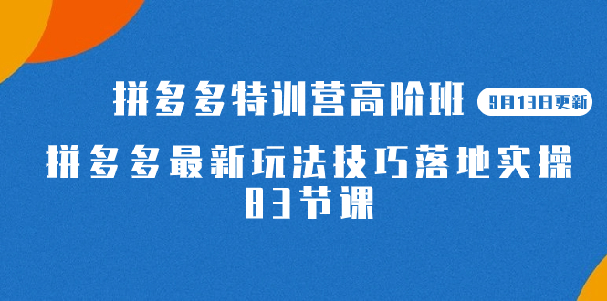 2023拼多多·特训营高阶班【9月19日更新】拼多多最新玩法技巧落地实操-83节-专享资源网