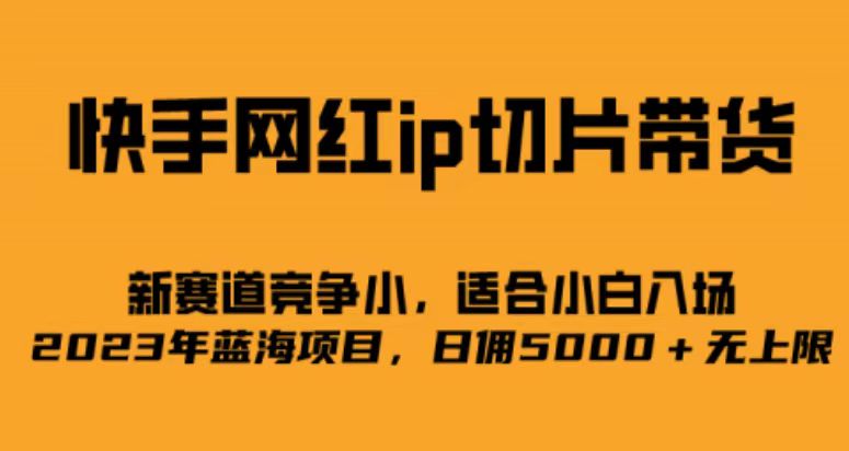 快手网红ip切片新赛道，竞争小事，适合小白 2023蓝海项目-专享资源网