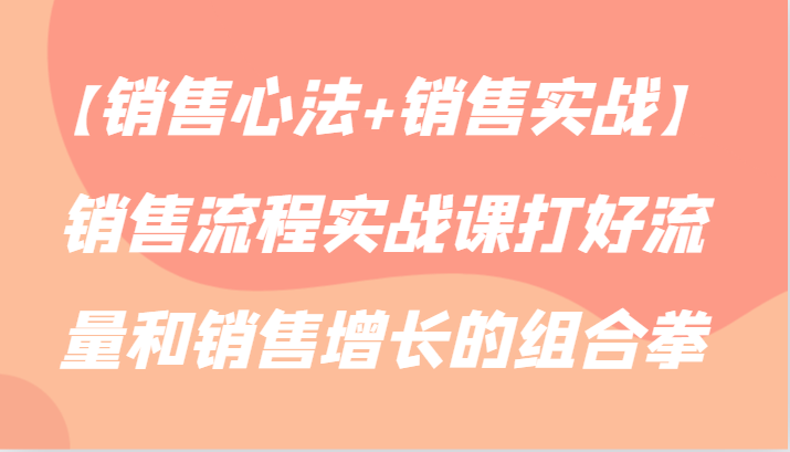 【销售心法+销售实战】销售流程实战课打好流量和销售增长的组合拳-专享资源网