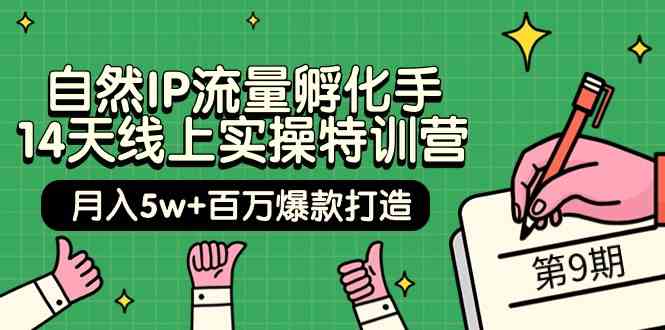 （9881期）自然IP流量孵化手 14天线上实操特训营【第9期】月入5w+百万爆款打造 (74节)-专享资源网