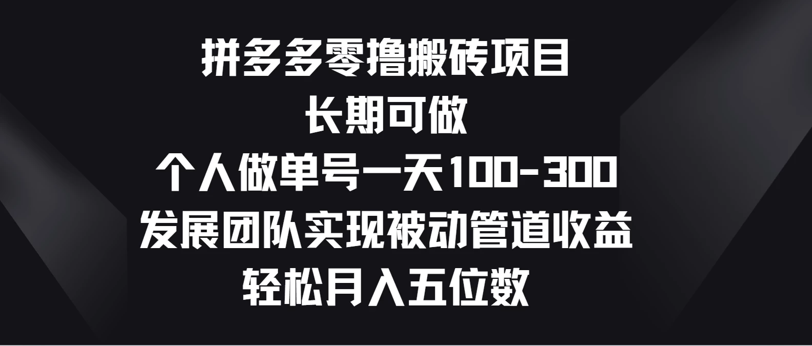 拼多多零撸搬砖项目，长期可做，个人做单号一天100-300，发展团队实现被动管道收益，轻松月入五位数-专享资源网