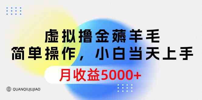 （9864期）虚拟撸金薅羊毛，简单操作，小白当天上手，月收益5000+-专享资源网