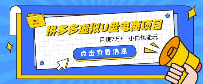 拼多多虚拟U盘电商红利项目：月赚2万+，新手小白也能玩-专享资源网