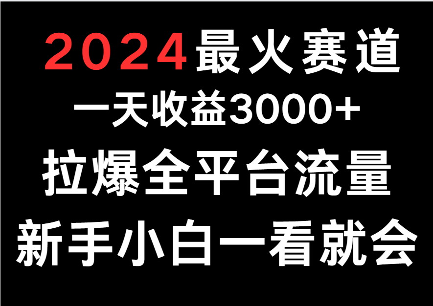 2024最火赛道，一天收一3000+.拉爆全平台流量，新手小白一看就会-专享资源网