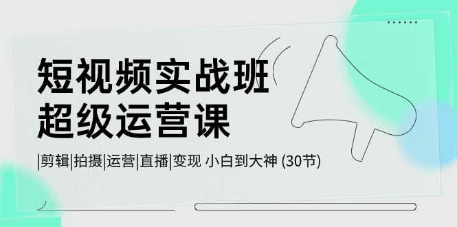 短视频实战班超级运营课 |剪辑|拍摄|运营|直播|变现 小白到大神 (30节)-专享资源网