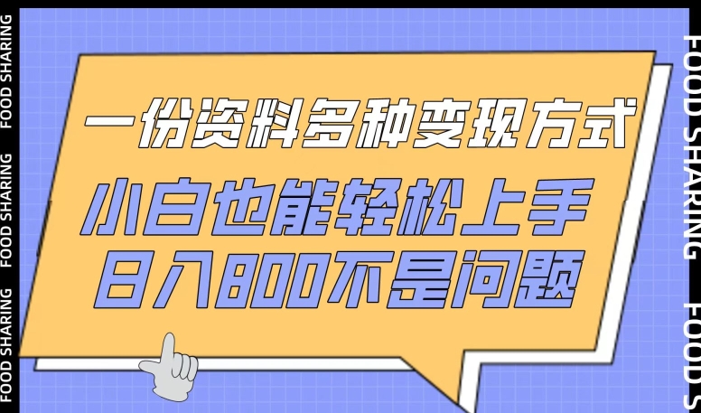 一份资料多种变现方式，小白也能轻松上手，日入800不是问题-专享资源网