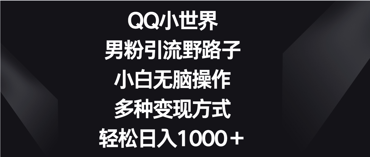 QQ小世界男粉引流野路子，小白无脑操作，多种变现方式轻松日入1000＋-专享资源网