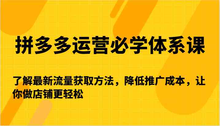 拼多多运营必学体系课-了解最新流量获取方法，降低推广成本，让你做店铺更轻松-专享资源网