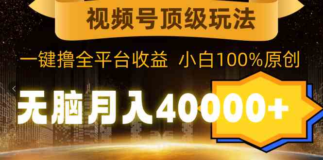 （9281期）视频号顶级玩法，无脑月入40000+，一键撸全平台收益，纯小白也能100%原创-专享资源网