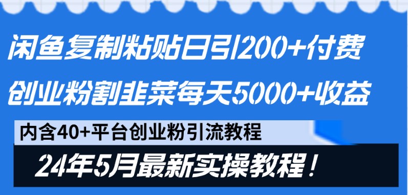 闲鱼复制粘贴日引200+付费创业粉，24年5月最新方法！割韭菜日稳定5000+收益-专享资源网