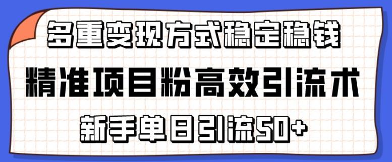 精准项目粉高效引流术，新手单日引流50+，多重变现方式稳定赚钱-专享资源网