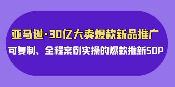 （9944期）亚马逊30亿·大卖爆款新品推广，可复制、全程案例实操的爆款推新SOP-专享资源网