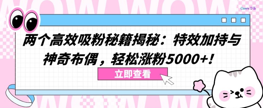 两个高效吸粉秘籍揭秘：特效加持与神奇布偶，轻松涨粉5000+-专享资源网