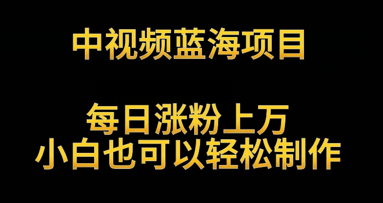 中视频蓝海项目，解读英雄人物生平，每日涨粉上万，小白也可以轻松制作，月入过万不是梦-专享资源网