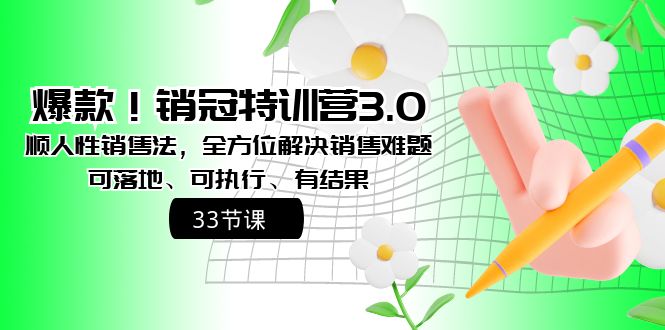 爆款！销冠特训营3.0之顺人性销售法，全方位解决销售难题、可落地-专享资源网