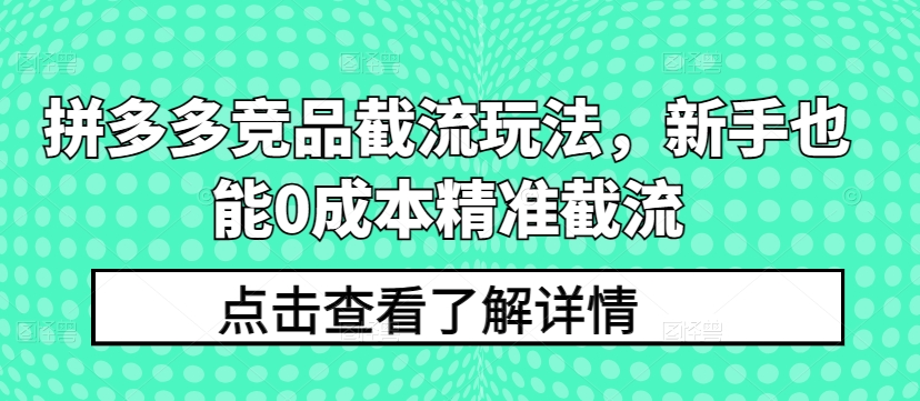 拼多多竞品截流玩法，新手也能0成本精准截流-专享资源网