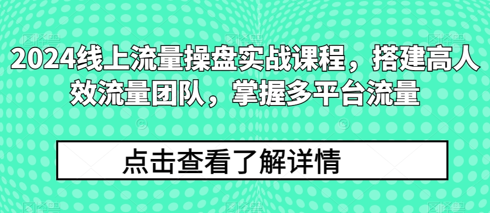 2024线上流量操盘实战课程，搭建高人效流量团队，掌握多平台流量-专享资源网