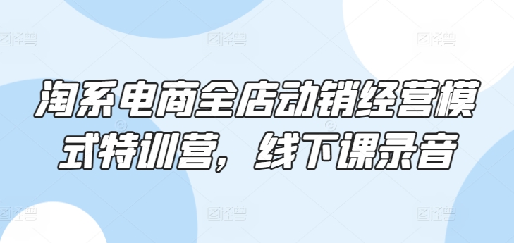 淘系电商全店动销经营模式特训营，线下课录音-专享资源网