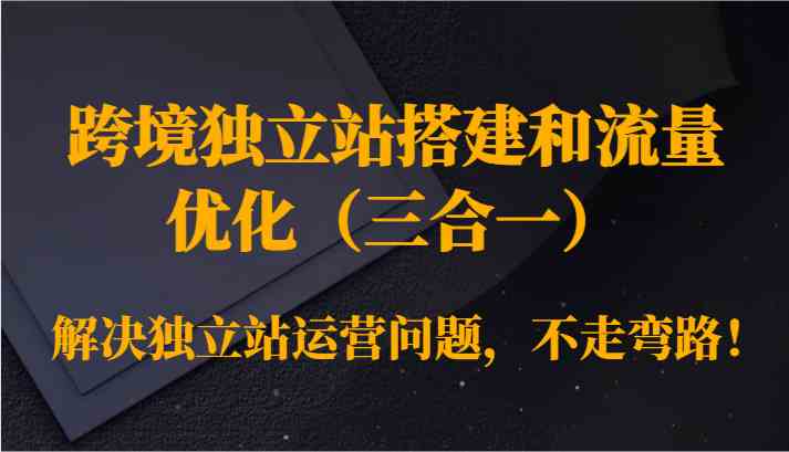 跨境独立站搭建和流量优化（三合一）解决独立站运营问题，不走弯路！-专享资源网