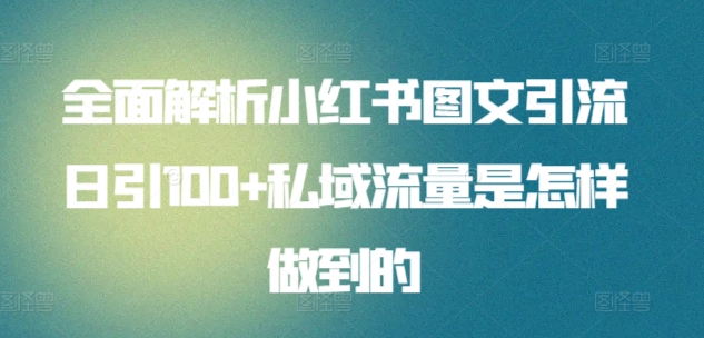 全面解析小红书图文引流日引100+私域流量是怎样做到的-专享资源网