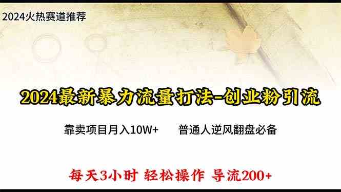 （10151期）2024年最新暴力流量打法，每日导入300+，靠卖项目月入10W+-专享资源网