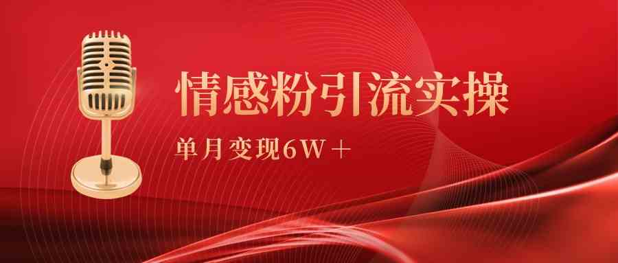 （9473期）单月变现6w+，情感粉引流变现实操课-专享资源网