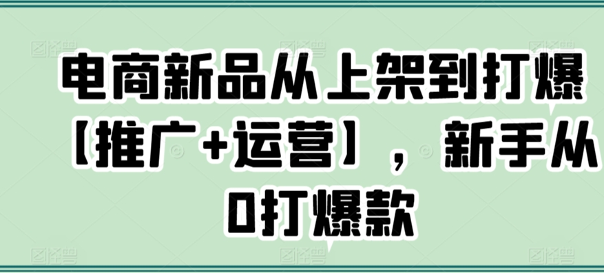 电商新品从上架到打爆【推广+运营】，新手从0打爆款-专享资源网