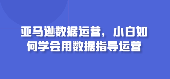 亚马逊数据运营，小白如何学会用数据指导运营-专享资源网