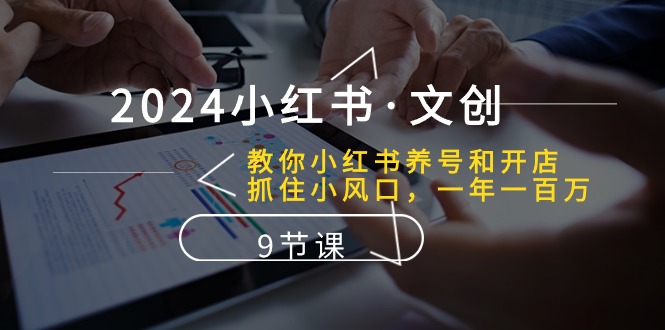 （10440期）2024小红书·文创：教你小红书养号和开店、抓住小风口 一年一百万 (9节课)-专享资源网