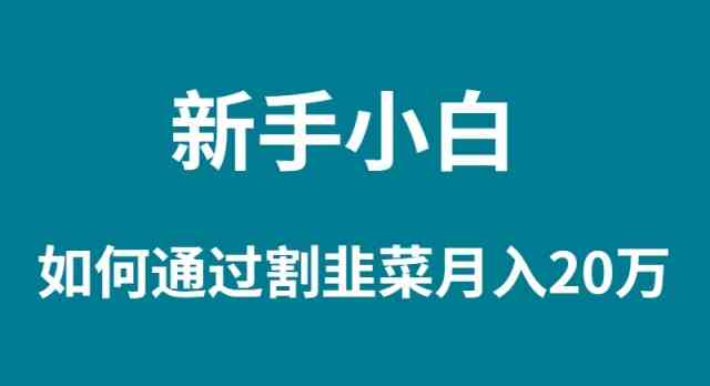 （9308期）新手小白如何通过割韭菜月入 20W-专享资源网