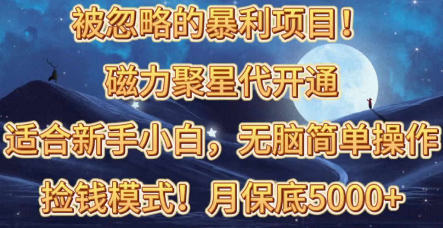 （10245期）被忽略的暴利项目！磁力聚星代开通捡钱模式，轻松月入五六千-专享资源网