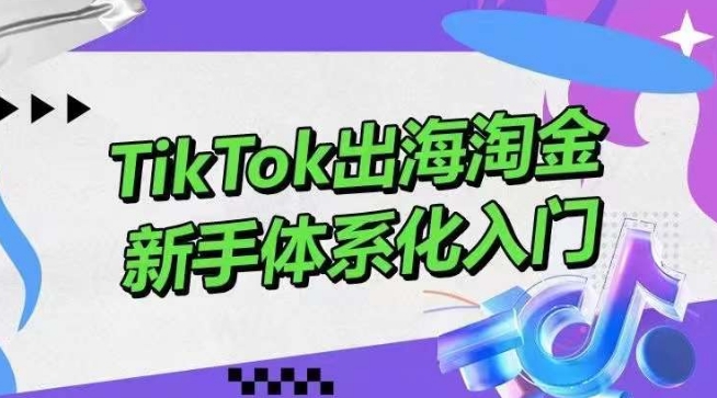 TikTok出海淘金，新手体系化入门，零基础快速入门，掌握短视频、直播带货等引流到变现的知识-专享资源网