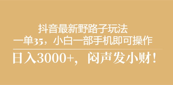 （10766期）抖音最新野路子玩法，一单35，小白一部手机即可操作，，日入3000+，闷…-专享资源网